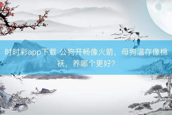 時時彩app下載 公狗開暢像火箭,母狗溫存像棉襖,養(yǎng)哪個更好?