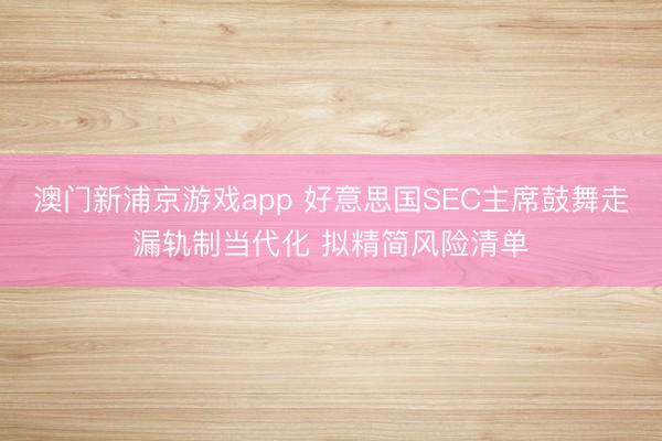 澳門新浦京游戲app 好意思國SEC主席鼓舞走漏軌制當代化 擬精簡風險清單