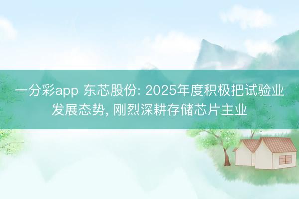 一分彩app 東芯股份: 2025年度積極把試驗業(yè)發(fā)展態(tài)勢, 剛烈深耕存儲芯片主業(yè)